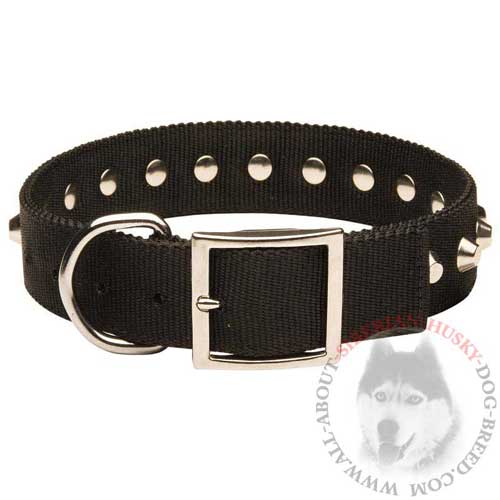 Training Nylon Collar with Studs