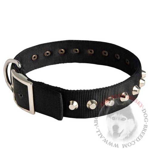 Siberian Husky Nylon Dog Collar