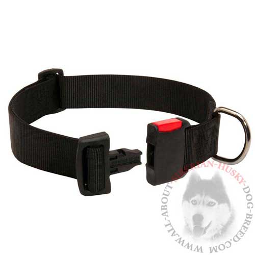 Wide Siberian Husky Collar Nylon with Easy Release Buckle