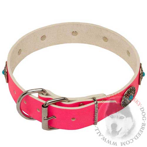 Wide Pink Leather Collar for Siberian Husky with Durable Hardware