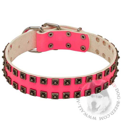 Walking Siberian Husky Pink Leather Collar