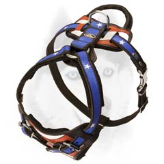 Agitation training harness for your Siberian Husky