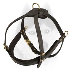 Multifunctional strong leather harness for Siberian Husky