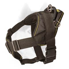 Protective nylon harness for Siberian Husky