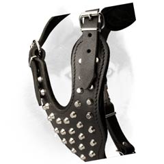 Chest plate padded leather Siberian Husky harness