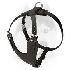 Best quality leather harness for Siberian Husky