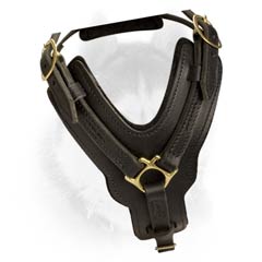 All weather use Siberian Husky harness