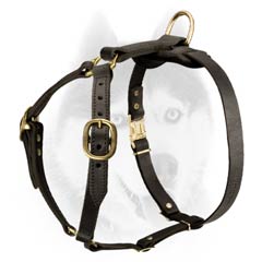 Extra durable leather harness for Siberian Husky