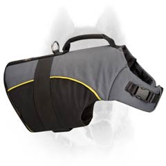 Siberian Husky rehabilitation vest