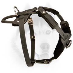 Extra comfortable leather Siberian Husky harness
