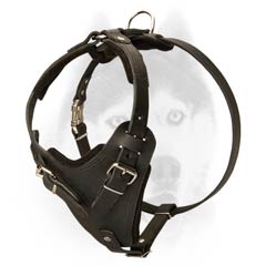 Extra comfort leather Siberian Husky harness