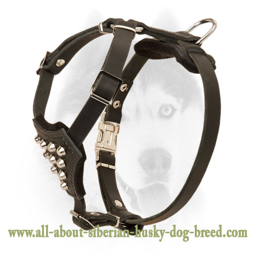 Universal Siberian Husky leather Dog Harness