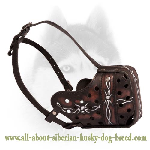 Everyday agitation/training leather muzzle for your Siberian Husky