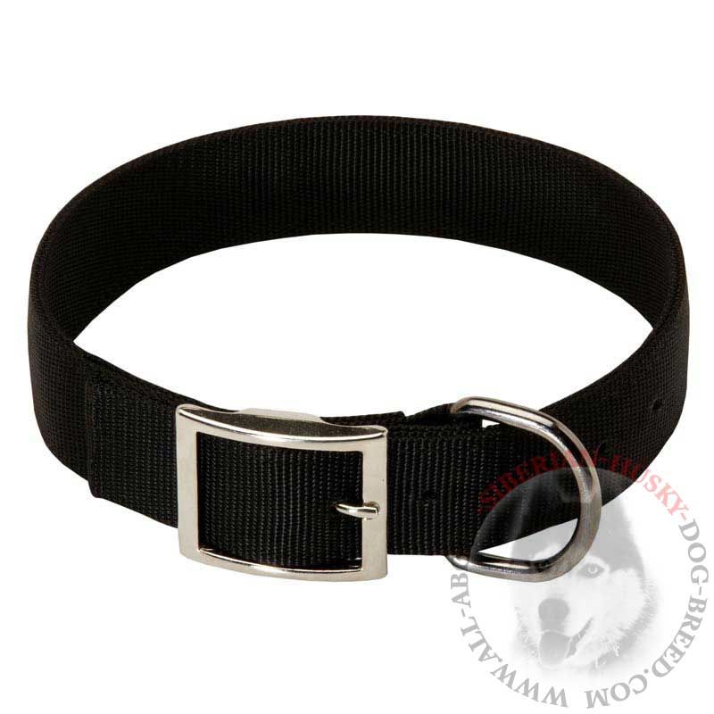 Lightweight 2 Ply Nylon Siberian Husky Collar for Dog Walking, Training
