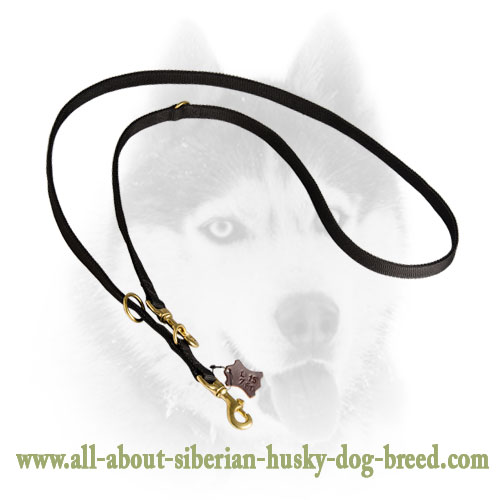 Multitask All Weather Nylon Siberian Husky Leash