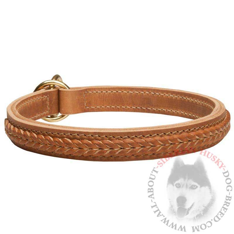 Stylish Siberian Husky Choke Collar with Braided Detail