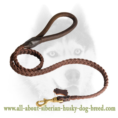 Braided Leather Siberian Husky Leash with Round Handle
