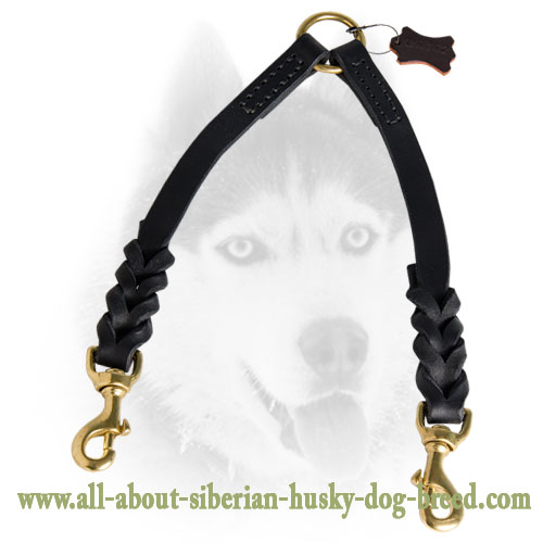 The Finest Braided Leather Siberian Husky Coupler for Walking 2 Dogs