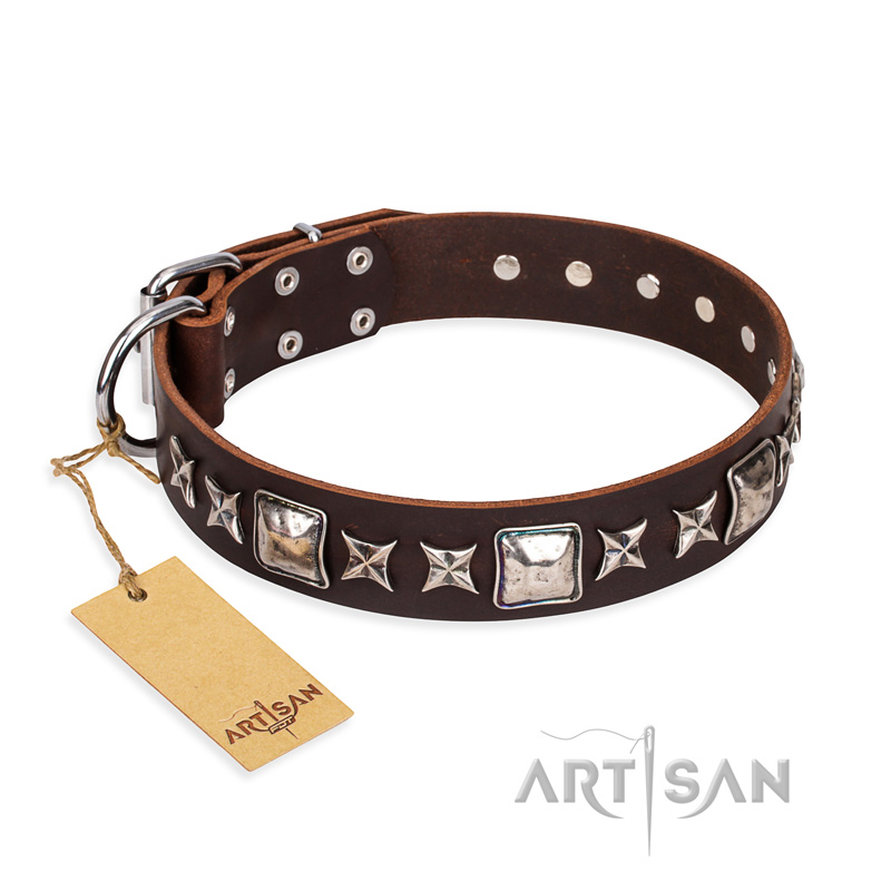 'Perfect Impression' FDT Artisan Siberian Husky Brown Leather Dog Collar with Silvery Square Studs - 1 1/2 inch (40 mm) Wide