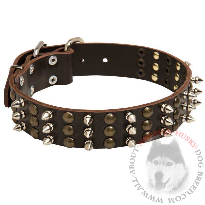 Incredible Leather Siberian Husky Collar with Studs and Spikes for Fashionable Walking