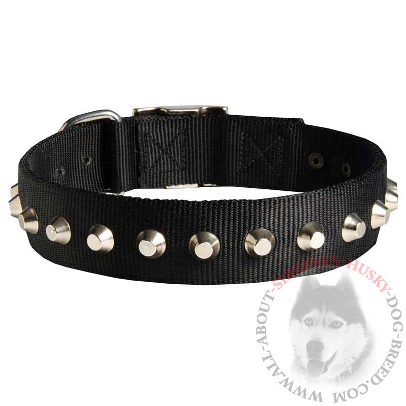 Unique Nylon Siberian Husky Collar with One Row of Silver Pyramids