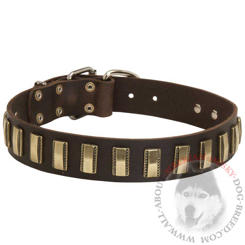 Wonderful Siberian Husky Leather Collar Decorated With Brass Plates
