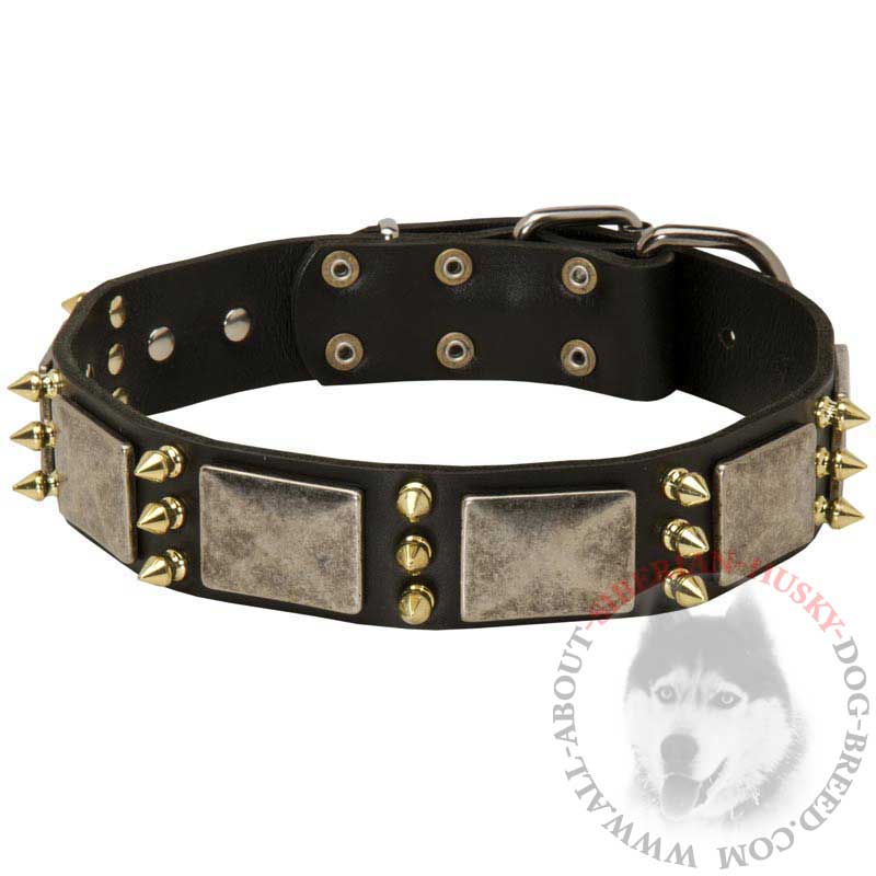 Gorgeous Wide Leather Siberian Husky Collar with Plates and Spikes