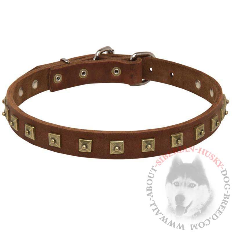 Handmade Leather Siberian Husky Collar with Brass Studs Made in Caterpillar Style