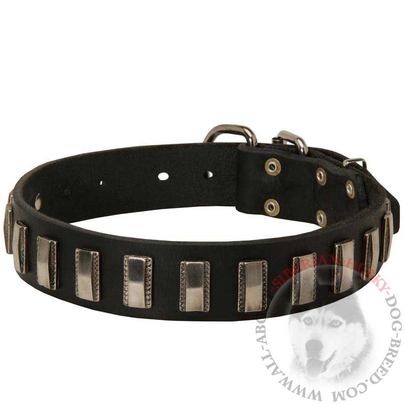 Splendid Leather Siberian Husky Collar with Nickel Plates