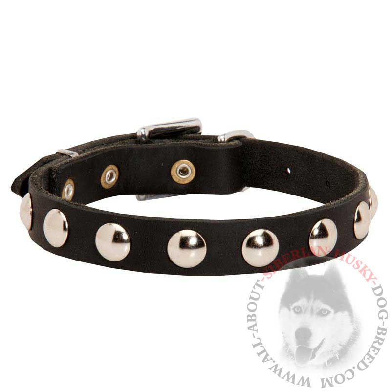Elegant Leather SIberian Husky Collar with Nickel Studs for Daily Walking - Click Image to Close