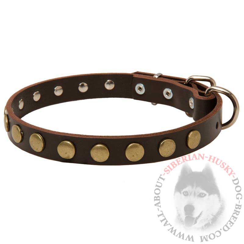 Fancy Leather Siberian Husky Collar with One Row of Brass Circles - Click Image to Close