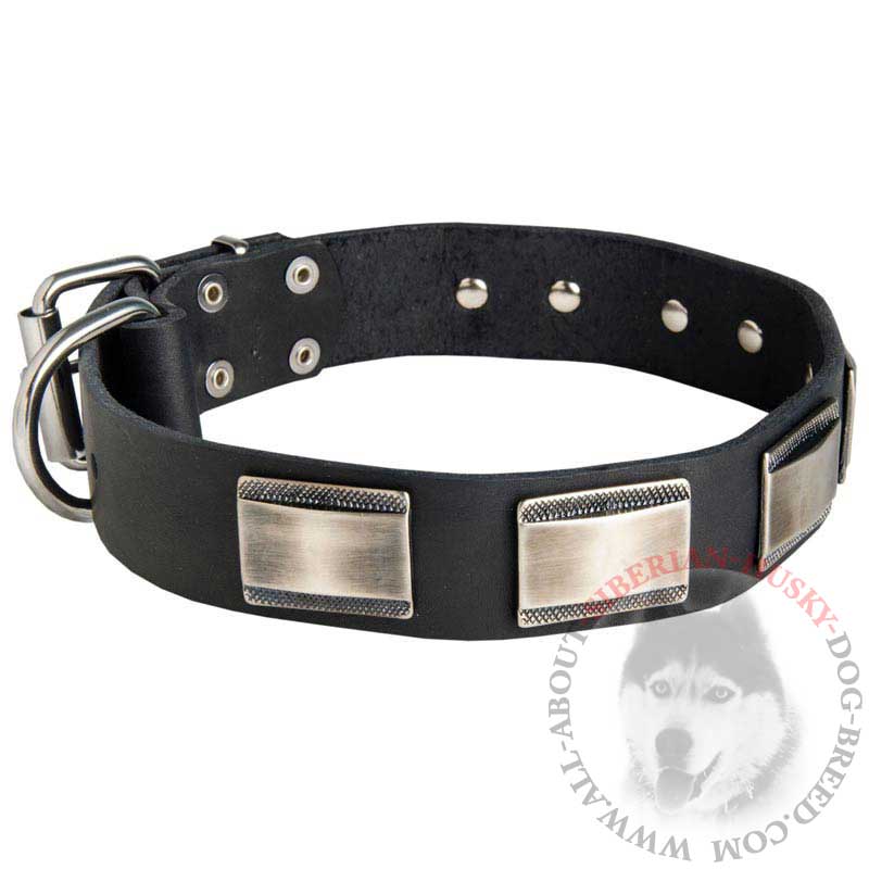 Leather Siberian Husky Collar with Large Nickel Plates