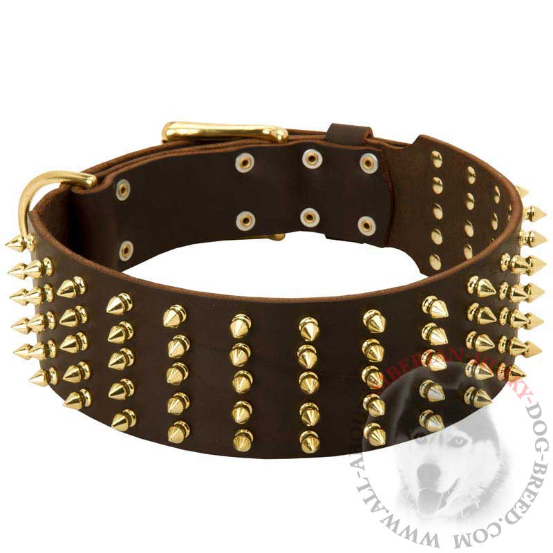 Marvelous Leather Siberian Husky Collar with 5 Rows of Brass Spikes