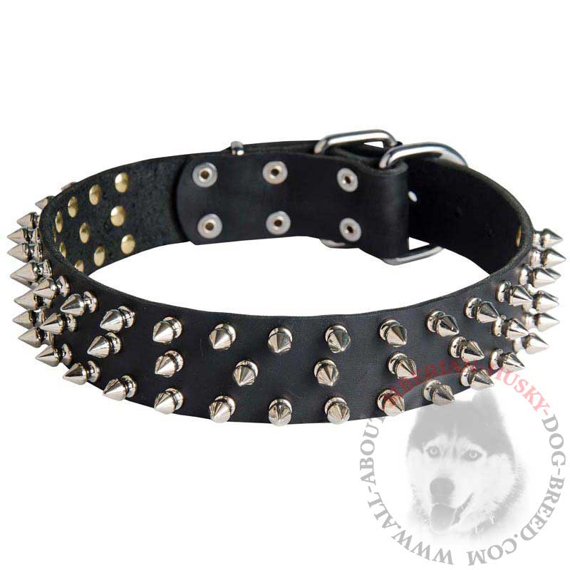 Incredible Leather Siberian Husky Collar with 3 Rows of Spikes - Click Image to Close