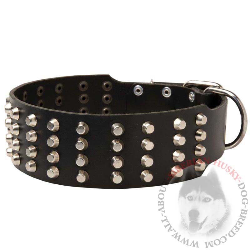 Extremely Wide Leather Siberian Husky Collar Decorated with Pyramids
