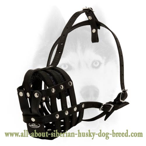 Everyday Perfect Air Ventilation Muzzle for Siberian Husky