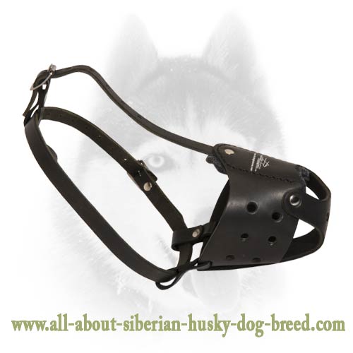 Easy adjustable Siberian Husky leather muzzle