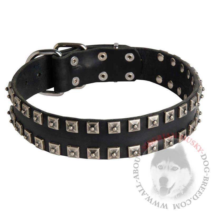 Tremendous Studded Leather Siberian Husky Collar for Walking and Training