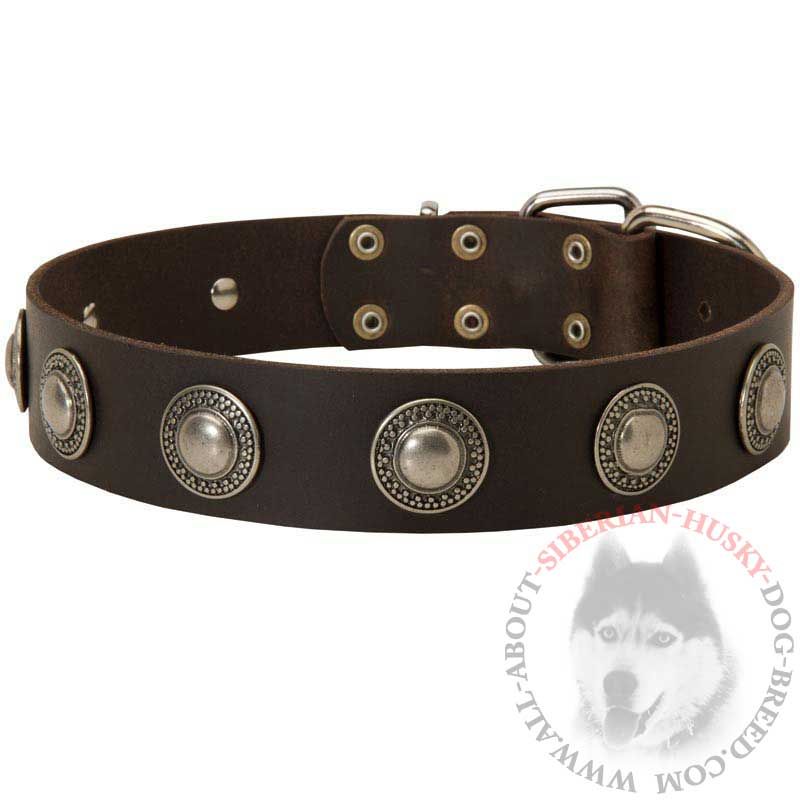 Fabulous Leather Siberian Husky Collar with Hand Set Silver Conchos