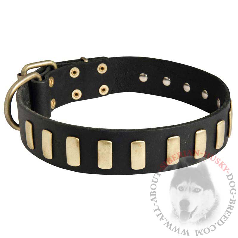 Extraordinary Leather Siberian Husky Collar with Special Plates