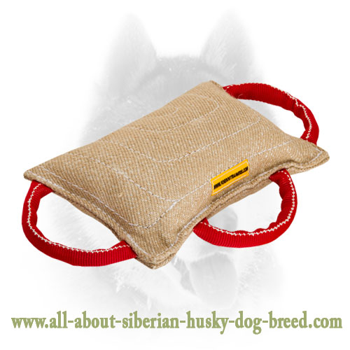 Jute Dog Bite Pad with 3 Handles