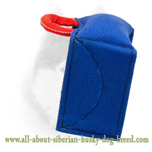 French Linen Dog Training Pad for Schutzhund Commands Training