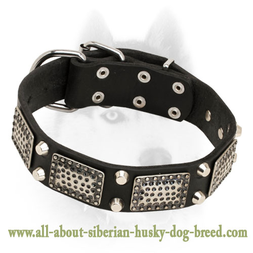 Gorgeous Leather Siberian Husky Collar with Nickel Plates and Pyramids - Click Image to Close
