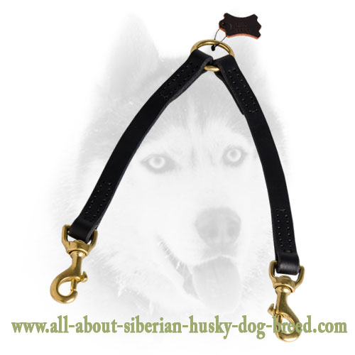 Stitched Leather Leash for Safe Walking with 2 Canines