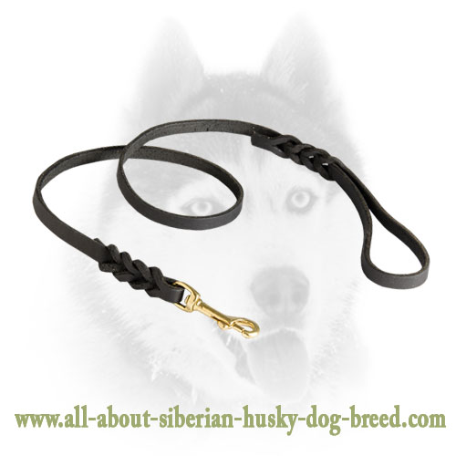 Elegant Leather Leash for Siberian Husky with Braids