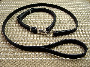 Leather Police/Hunting Siberian Husky Collar and Leash
