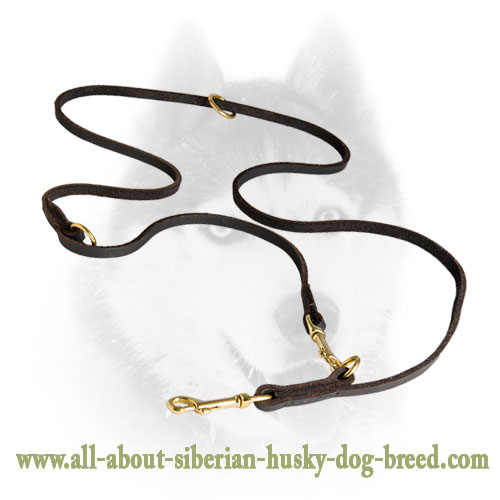 Reliable Leather Siberian Husky Leash