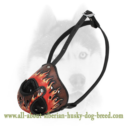 Luxury Handpainted Leather Muzzle for Siberian Husky