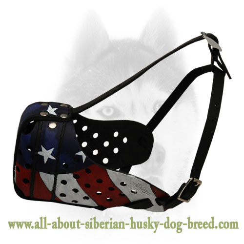 Multifunctional American Pride Leather Siberian Husky Muzzle