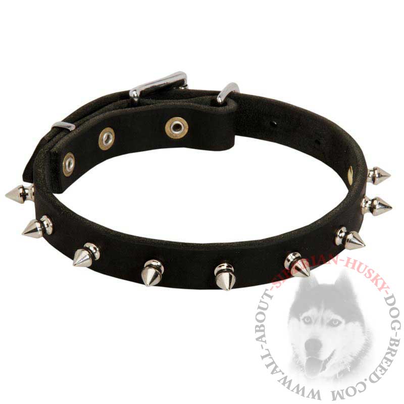 Handmade Leather Siberian Husky Collar with Smooth Nickel Spikes
